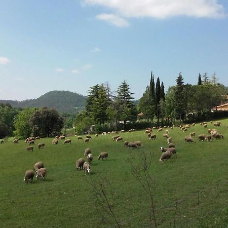 Casa Climent Konuk evi Aviá Dış mekan fotoğraf